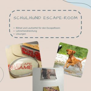 Schulhund Escape Room